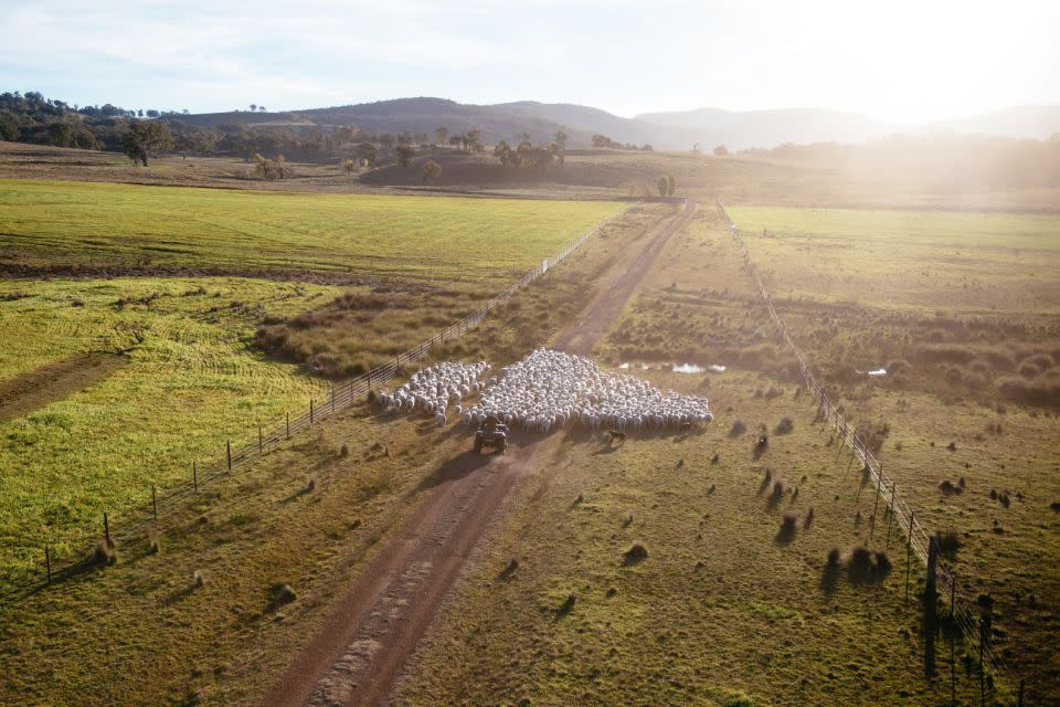 Charles asked a good friend to man the farm while he was away. Photo: Supplied