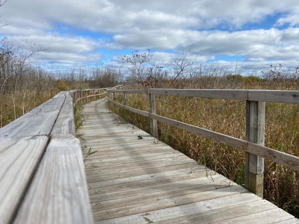 Woodland Dunes has over 7 miles of nature trails, all of which are open to the public and free to use. Trail maps are available near the door to the Nature Center.