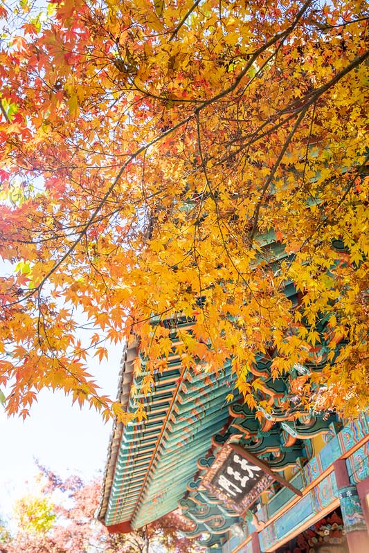 浮石寺