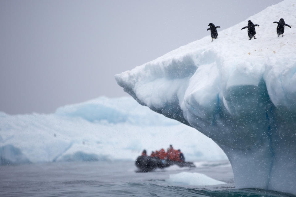 For Earth Day, we are sharing three days in the life of Tasha Van Zandt. Van Zandt is a conservation photographer focused on documenting climate change to teach its dangers. Read more to learn about Van Zandt's experience on the National Geographic Explorer ship as she films a documentary in Antarctica.