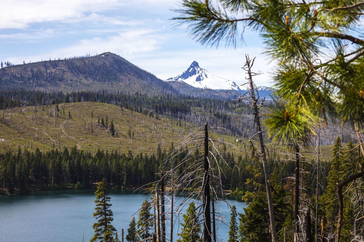 Suttle Lake and Mount Washington view, Oregon, USA