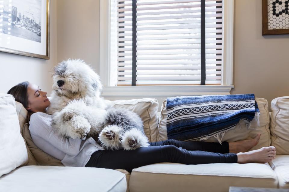 15 Fluffy Dog Breeds You'll Want to Pet and Cuddle All Day Long