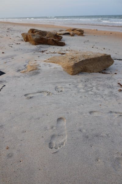 The researchers extracted identifiable genetic information from footprints in the sand. David Duffy, <a href="http://creativecommons.org/licenses/by-nd/4.0/" rel="nofollow noopener" target="_blank" data-ylk="slk:CC BY-ND;elm:context_link;itc:0;sec:content-canvas" class="link ">CC BY-ND</a>