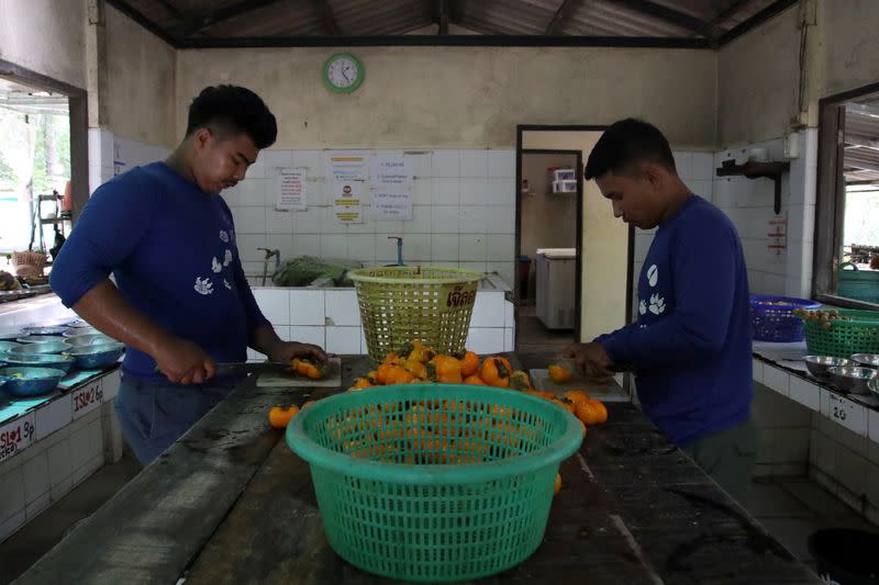 WFFT sanctuary struggles with lack of income due to COVID-19 in Thailand