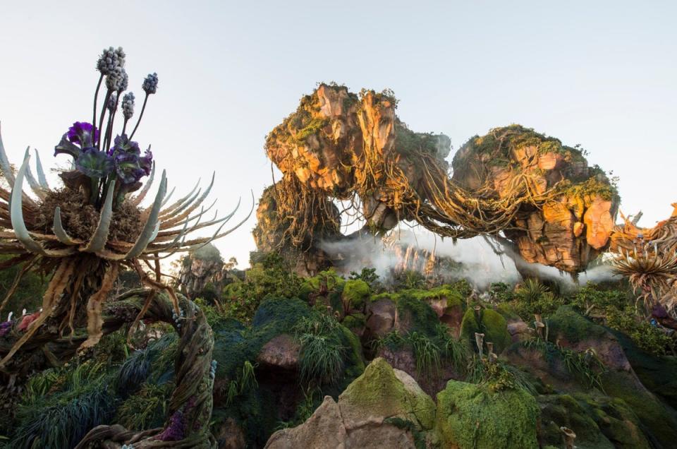 Disney’s Animal Kingdom is spread over 580 acres (Disney Parks)