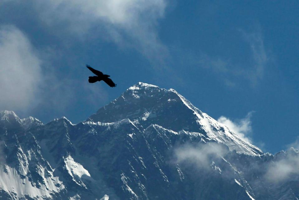 A bird flies with Mount Everest seen in the background (AP Photo/Niranjan Shrestha)