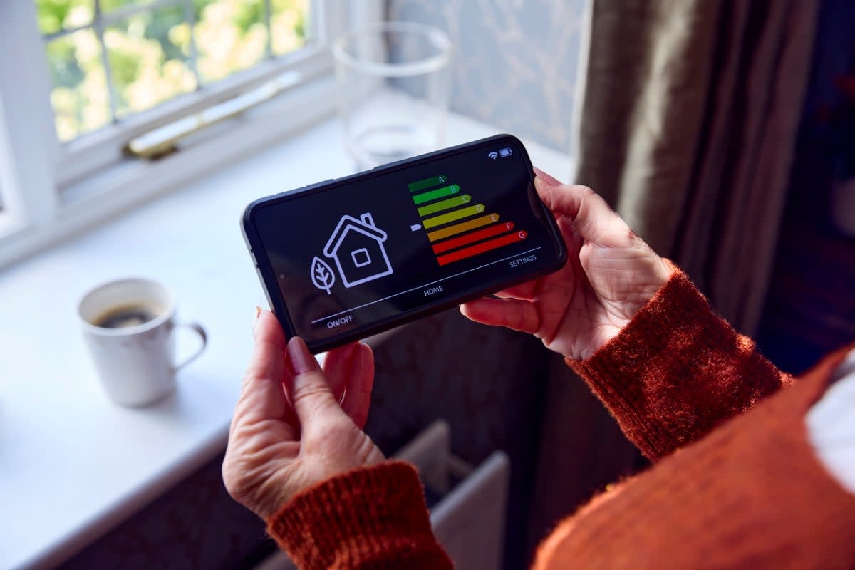 Woman looking at temperature meter on cellphone