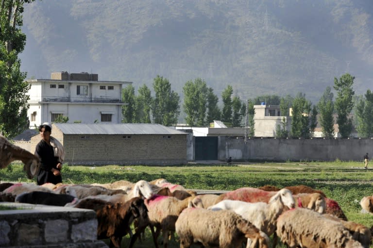 A Pakistani shepherd herds his goats past the hideout (now destroyed) of Al-Qaeda leader Osama bin Laden, who was killed by US Special Forces on May 2, 2011 in Abbottabad