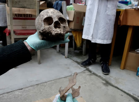 Archeologists show a skull as part of an archeological finding, dated approximately 500 years ago, in Mazo Cruz, near Viacha, Bolivia, November 12, 2018. Picture taken November 12, 2018.REUTERS/David Mercado