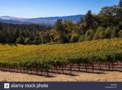 <p> Situated atop Howell Mountain is <a href="https://www.cadewinery.com/" rel="nofollow noopener" target="_blank" data-ylk="slk:Cade Estate;elm:context_link;itc:0;sec:content-canvas" class="link ">Cade Estate</a>, a winery that specializes in Cabernet Sauvignon and comprises two distinct locations: the first-ever LEED Gold-certified estate winery in Napa Valley, designed by architect Juan Carlos Fernandez, and a historic stone winery, built in 1886. Tours and tastings are available by reservation only. </p>