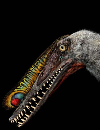 Egg fossils crack open secrets of ancient flying reptiles - USA -  Chinadaily.com.cn