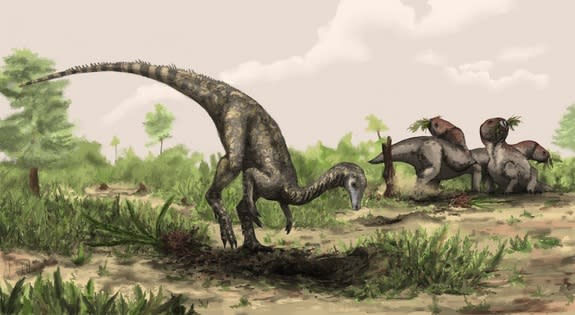 Flowering plants may have been around when the earliest known dinosaurs were around. Here, an artist's illustration of a Nyasasaurus, possibly the oldest known dinosaur, from the Middle Triassic of Tanzania.