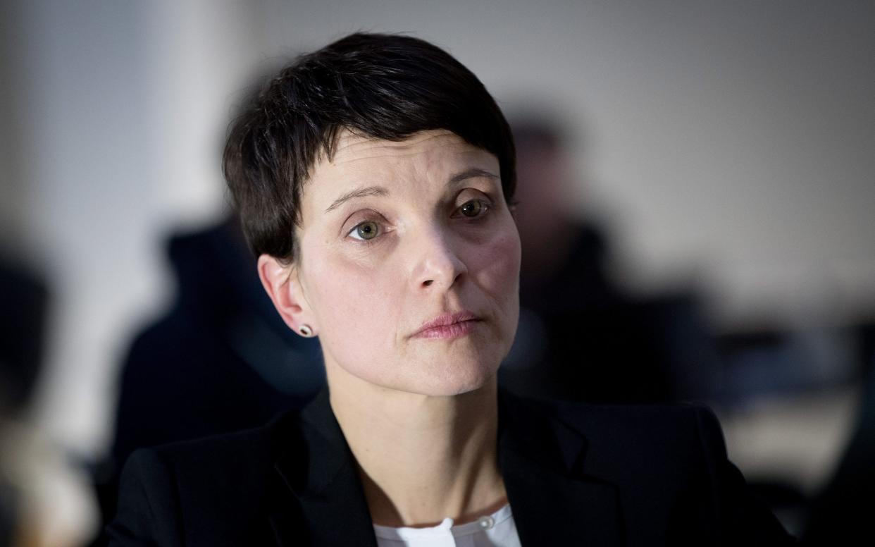 Ms Petry is accused of lying under oath about the party’s finances -  Kay Nietfeld