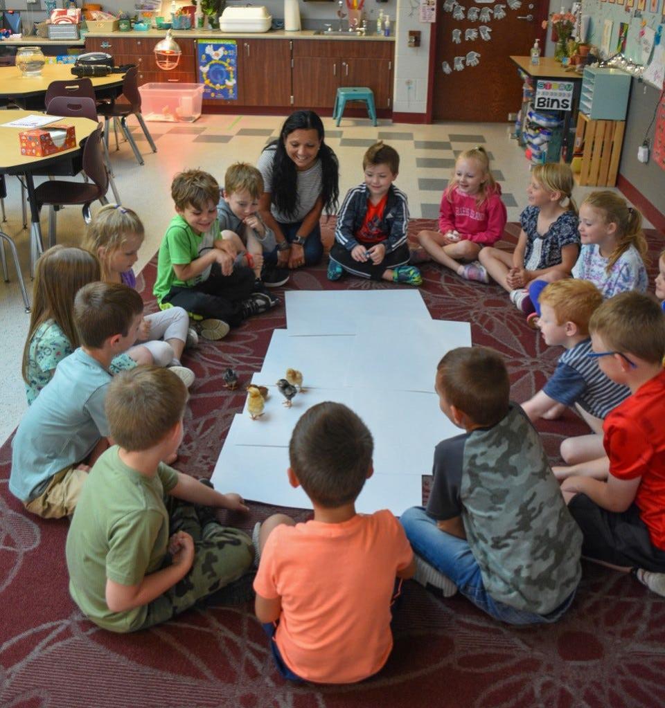 Genoa Elementary teacher Christine Reeder sits with her kindergarten class and some of the chicks that hatched in their classroom.