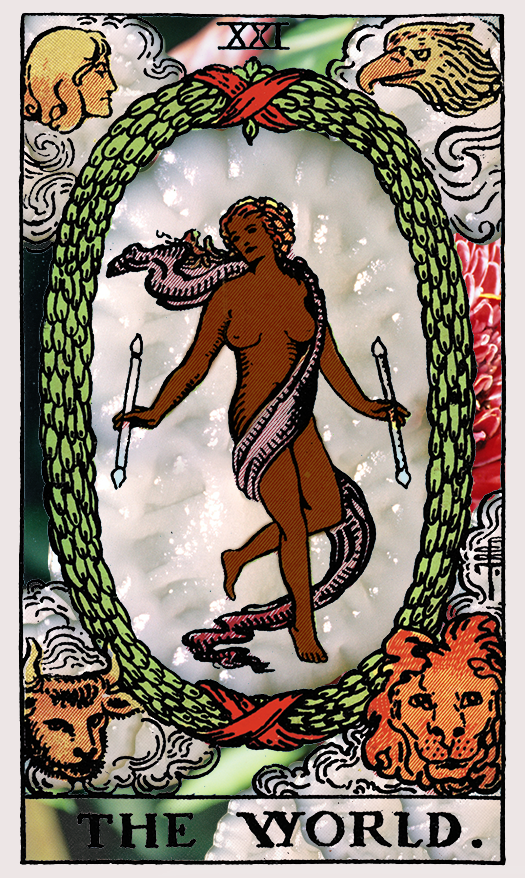 rider waite tarot the world