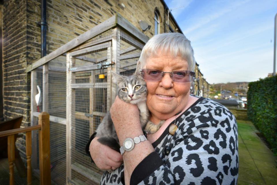 Bradford Telegraph and Argus: Brenda Satterley, founder of Allerton Cat Rescue