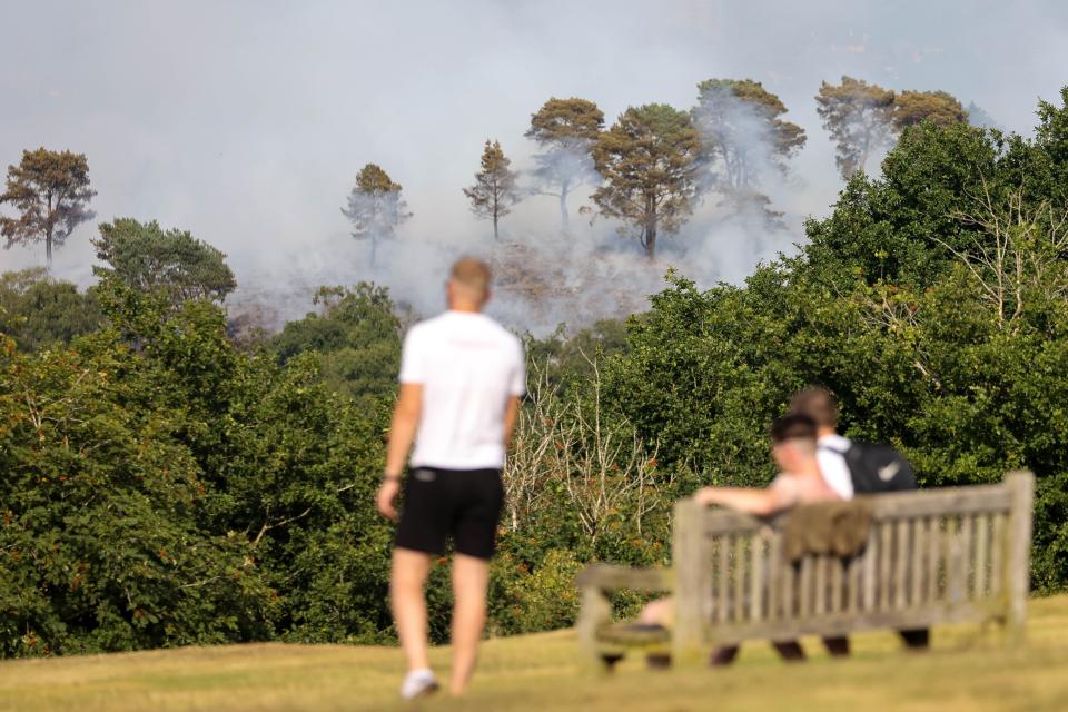Locals watch as Lickey Hills burns (Anita Maric/SWNS)