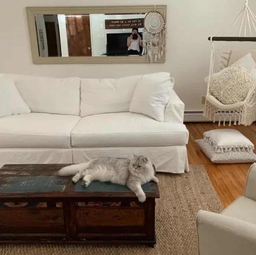 white cloth couch in living room with cat in front sitting on coffee table