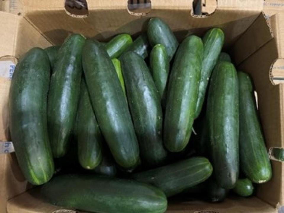 Fresh Start Produce Sales is recalling cucumbers sold in 14 states between May 17 through May 21, 2024, for potential Salmonella contamination.