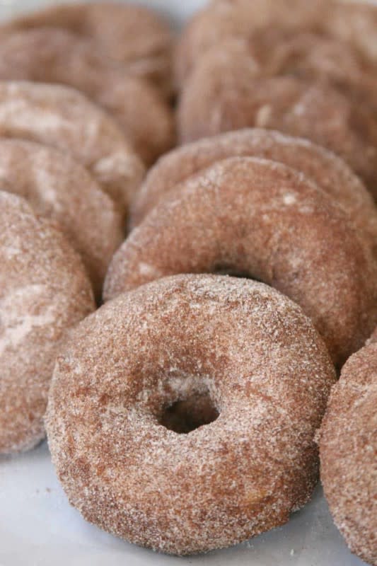 <p>A Farm Girl's Kitchen</p><p>Apple cider donuts are cake donuts rolled in a cinnamon sugar mixture. These homemade cake donuts are simple to make and can be prepped ahead of time. </p><p><strong>Get the recipe: <em><a href="https://afarmgirlskitchen.com/apple-cider-doughnuts/" rel="nofollow noopener" target="_blank" data-ylk="slk:Apple Cider Donuts;elm:context_link;itc:0;sec:content-canvas" class="link ">Apple Cider Donuts</a></em></strong></p>