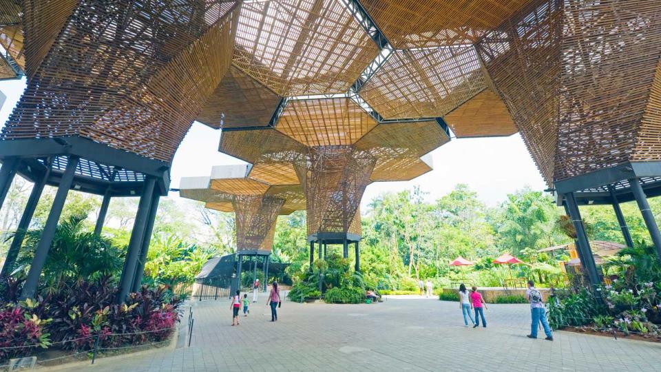 Joaquin Antonio Uribe Botanical Gardens, Medellin, Colombia