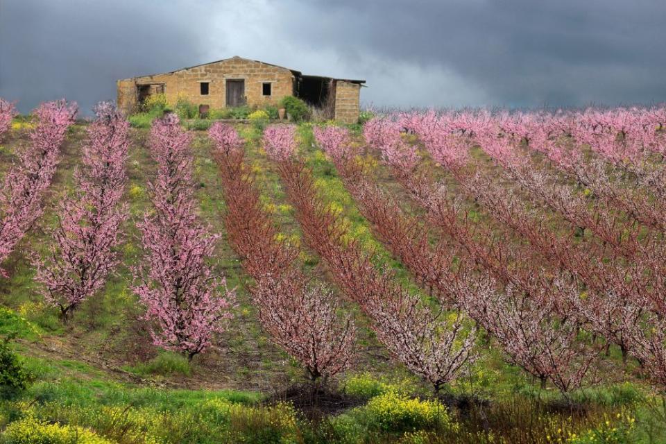 Bivona is selling 1 euro houses. Source: Getty