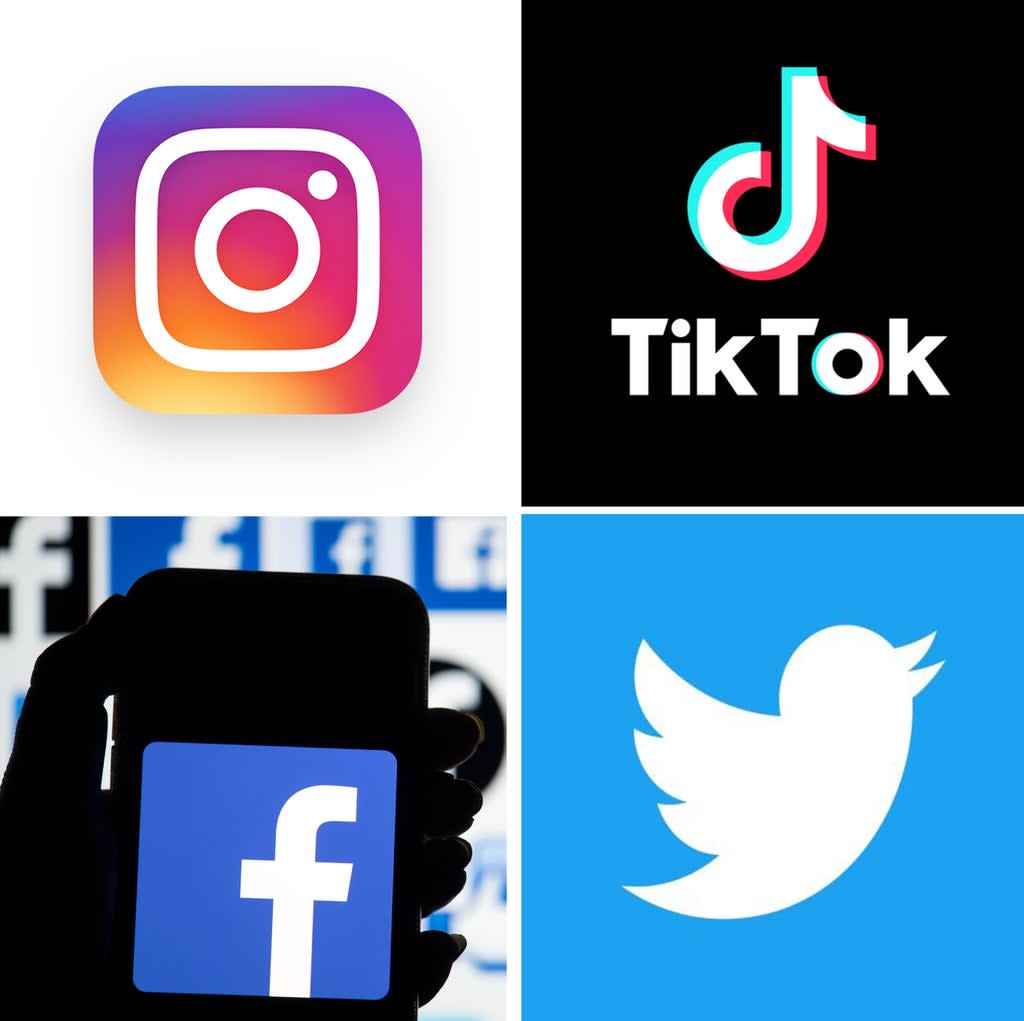 Instagram and TikTok were among the social media platforms being grilled by the Commons committee (PA) (PA Media)