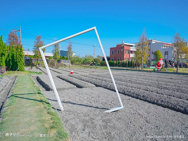 彰化田尾｜董家花田