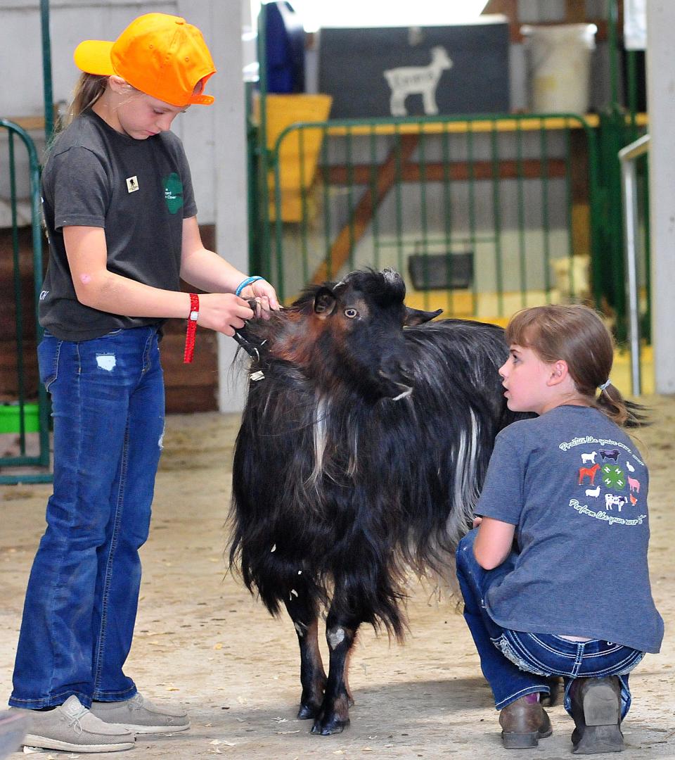 Kalissa Cox, left, helps Hallie Kinter, right, take care of Styx, Kinter’s miniature silky fainting goat on Sunday in the goat barn at the Ashland County Fair.