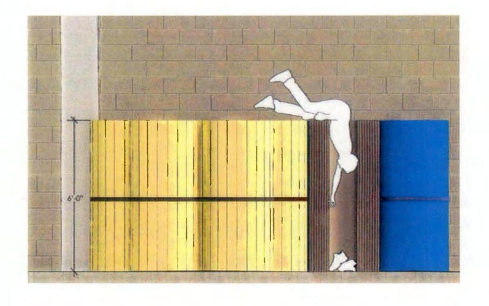 kendrick johnson georgia diagram