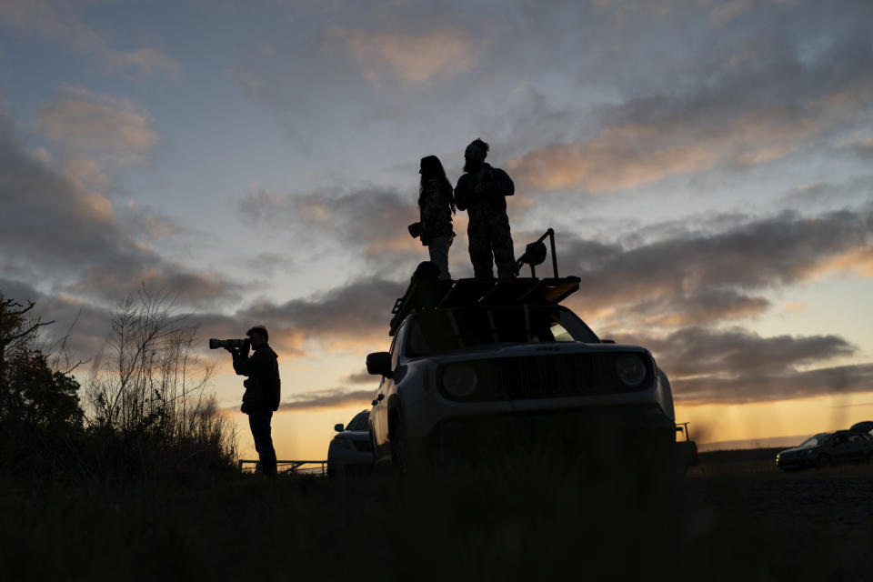 Wildlife photographers look out across the Alligator River National Wildlife Refuge for red wolves near Manns Harbor, N.C., Thursday, March 23, 2023. The red wolves became a poster child for the Endangered Species Act and a model for efforts to bring back other species. But the wild population is now back to the brink of oblivion, decimated by gunshots, vehicle strikes, suspected poisonings and, some have argued, government neglect. (AP Photo/David Goldman)