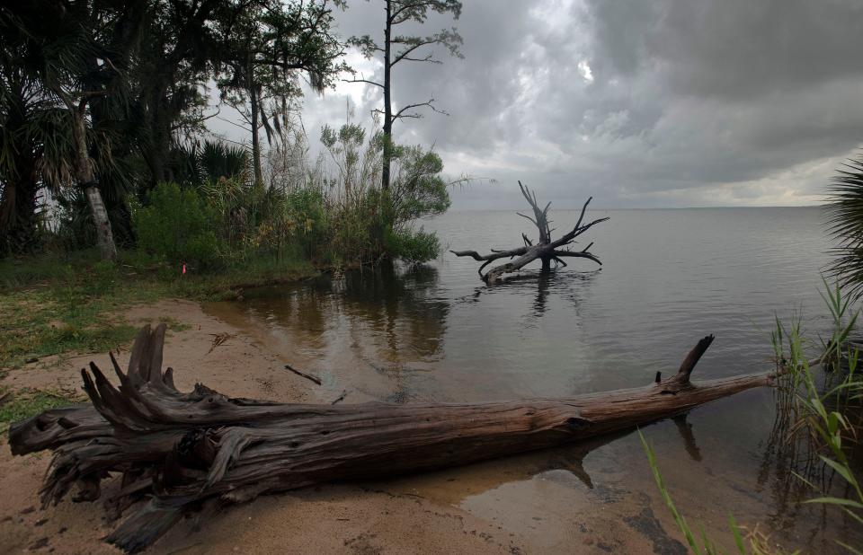 The scenic beauty of Perdido Key hides a danger lurking in the water on Wednesday, June 3, 2020. Mobile Baykeeper has issued a health warning for Perdido Bay after the presence of E. coli, and Enterococcus found in water samples.