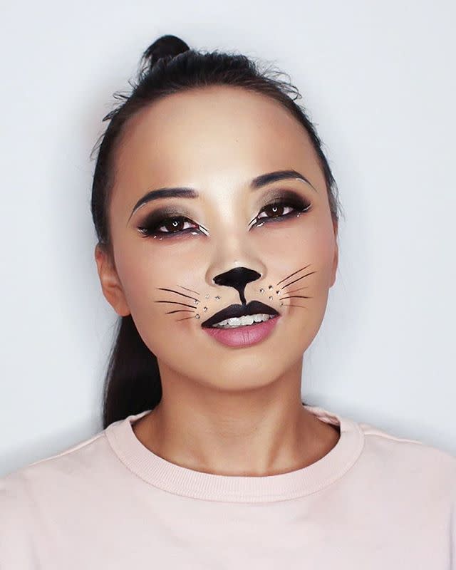 diy cat makeup