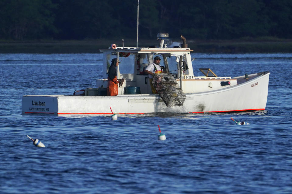 FILE- A lobster fisherman hauls a trap in this Sept. 8, 2022, file photo, off of Kennebunkport, Maine. The state's lobster industry says many of the new gear regulations designed to protect right whale are needlessly onerous. The drive to protect vanishing whales has brought profound impacts to marine industries, and those changes are accelerating as the Endangered Species Act approaches its 50th anniversary. (AP Photo/Robert F. Bukaty, files)