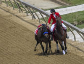 An outrider intercepts Havnameltdown after the horse lost it's rider and suffered a catastrophic leg injury during the sixth race prior to the 148th running of the Preakness Stakes horse race at Pimlico Race Course, Saturday, May 20, 2023, in Baltimore. The Bob Baffert trained horse was euthanized on the race track. (Jerry Jackson/The Baltimore Sun via AP)