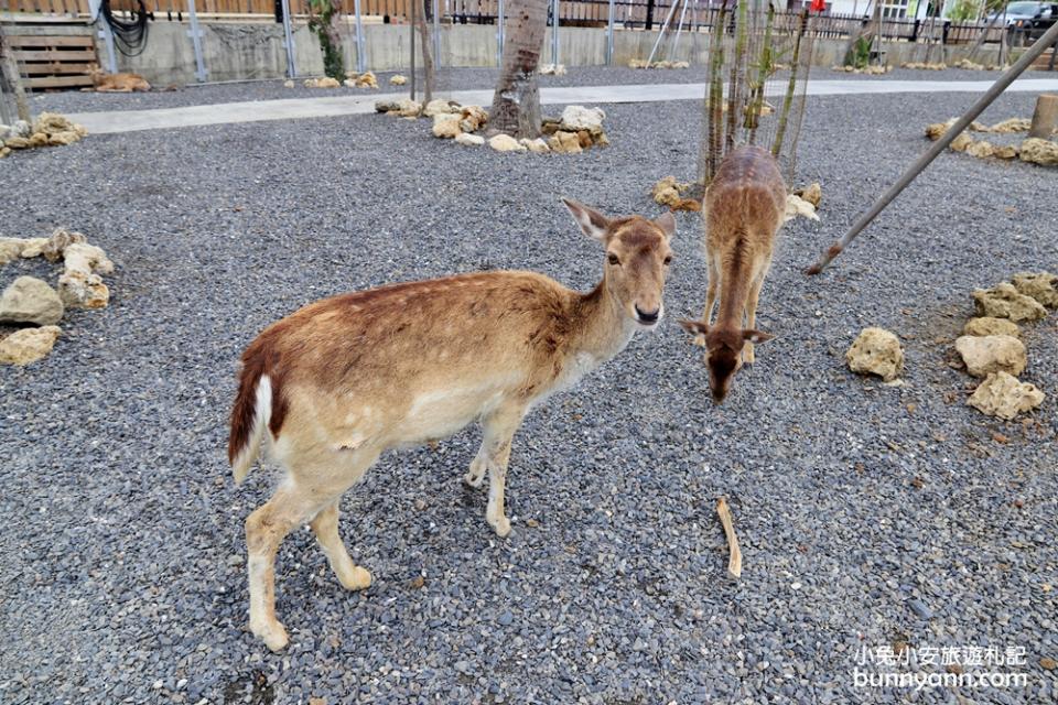 恆春墾草趣生態園