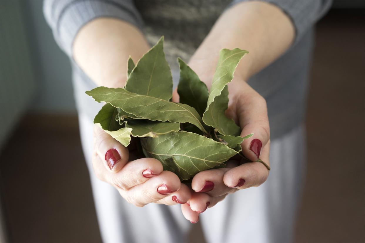 Bay Leaves