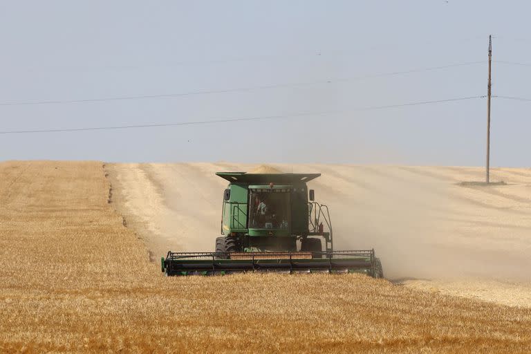 (FILES) This file photograph taken on June 14, 2022, shows a farmer using a combine harvester to harvest wheat on a field near Izmail, in the Odessa region on June 14, 2022, amid the Russian invasion of Ukraine. - Russia said on November 2, 2022, that it is resuming participation in Ukraine grain deal. (Photo by Oleksandr GIMANOV / AFP)