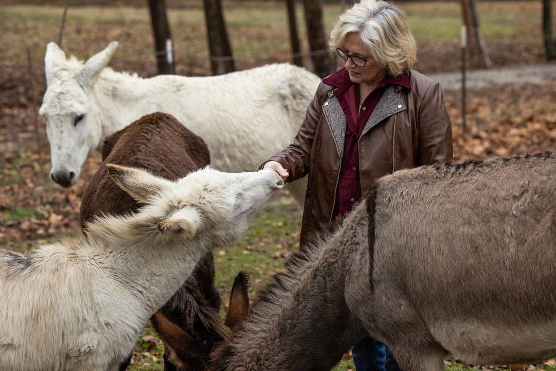 State Senator Katrina Shealy posses for a portrait with her pet donkeys at her home in Lexington County on Thursday, December 22, 2022. While donkeys have a reputation for being ornery, Shealy says that they are gentle and good companions.