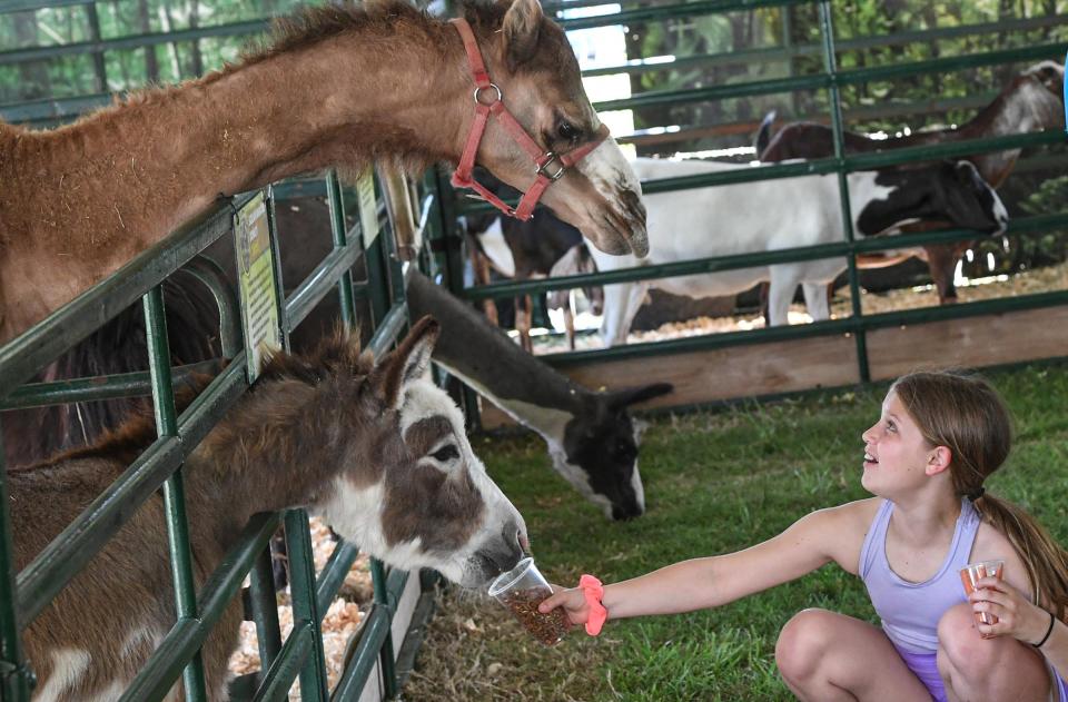Samantha Heller of Anderson feeds a camel and donkey at the Eudora Farms tent, during the Great Anderson County Fair at the Anderson Sports and Entertainment Complex in Anderson, S.C. Thursday, May 2, 2024.