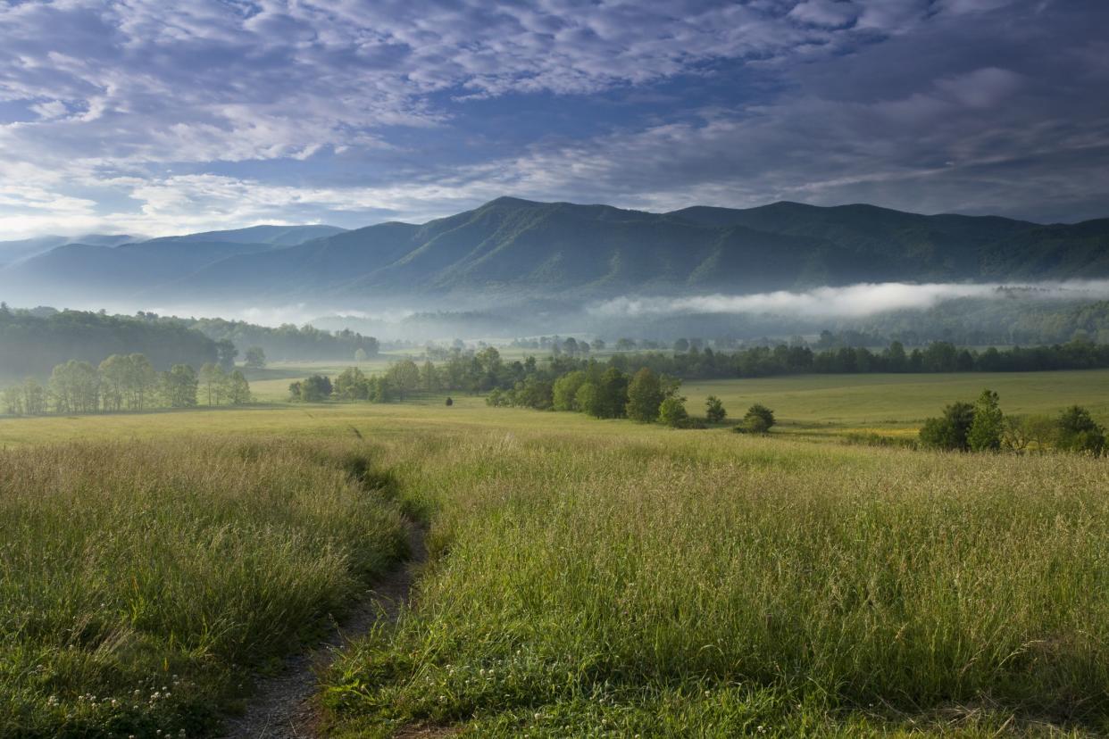 Walking path into Cades Cove in the Great Smoky Mountains National Park, Tennessee, expansive view of meadow and trees with mountains in the background