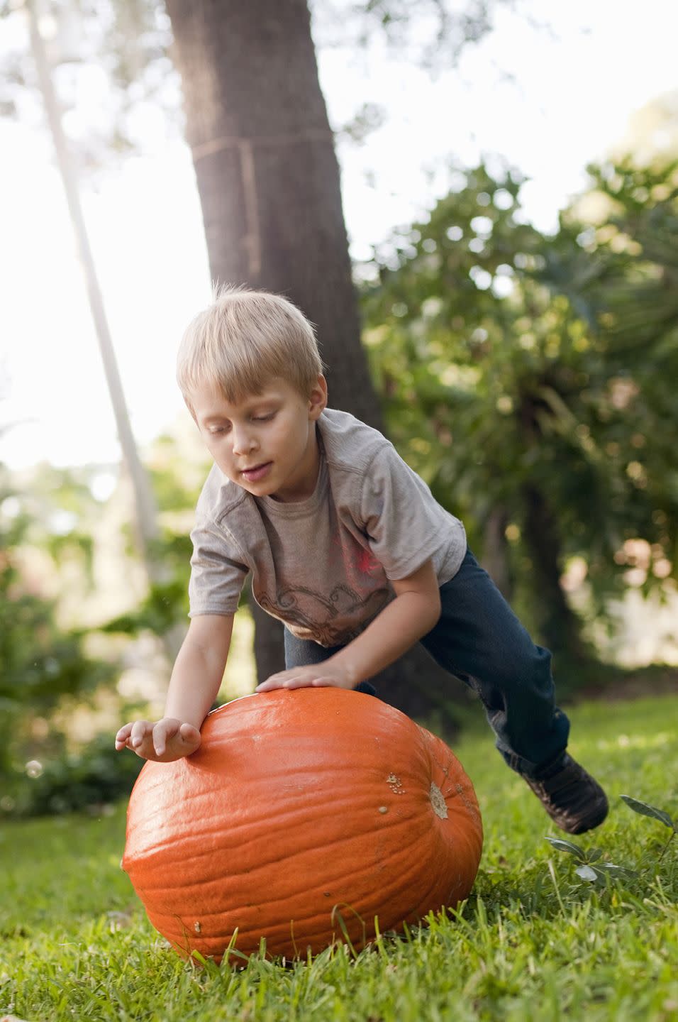 5) Push pumpkins