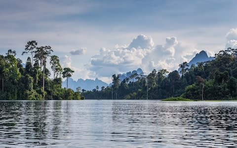 Khao Sok National Park - Credit: Copyright Bas Vermolen/Bas Vermolen