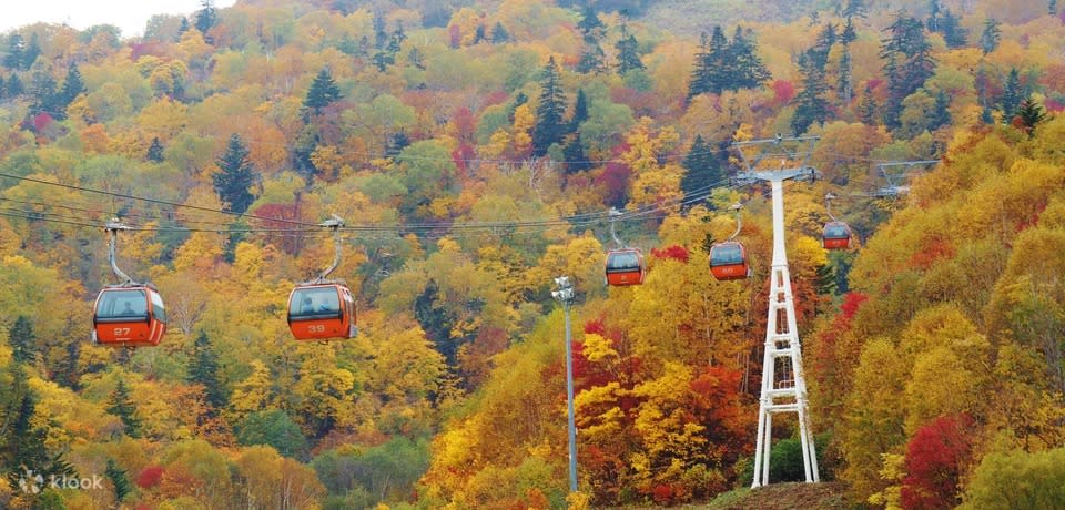 [Skip-the-line]Hoheikyo Electric Bus & Sapporo Kokusai Ski Resort Koyo Gondola Round Trip Ticket. (Photo: Klook SG)