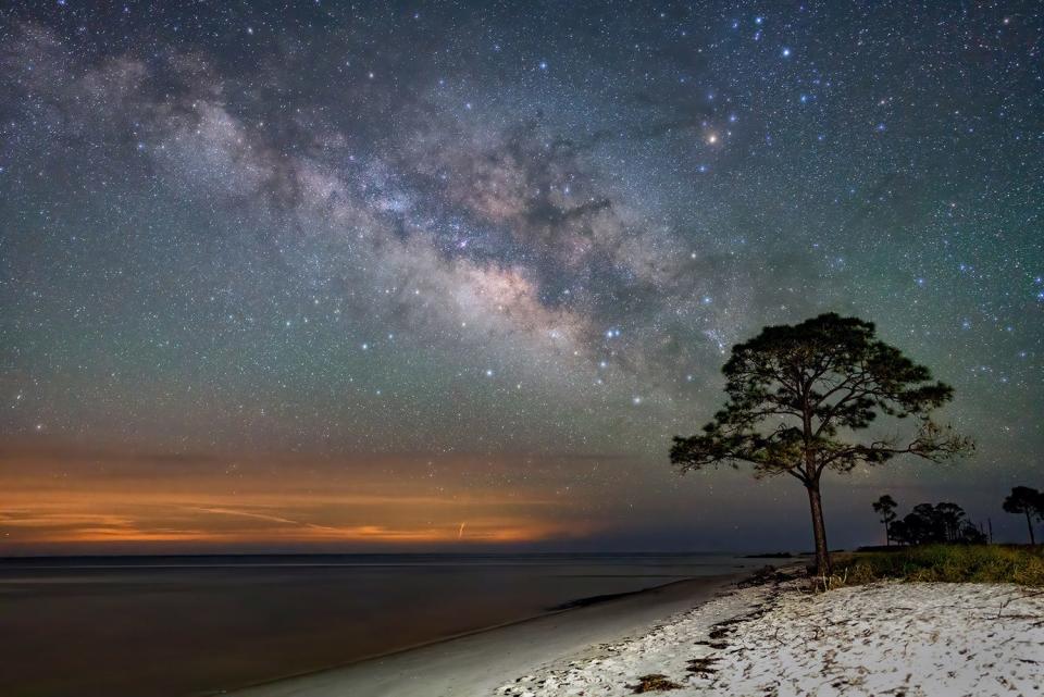 Lonely Pine Tree Milky Way At Mashes Sands 2021