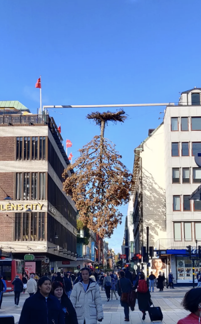 tree hanging upside down on the street