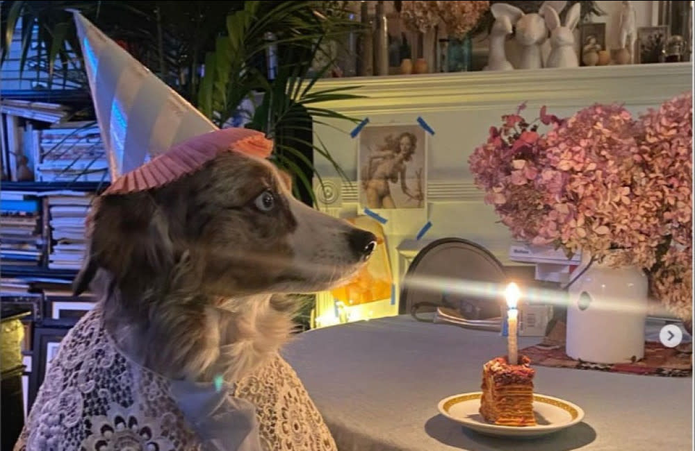 Helena Christensen celebrated her dog Kuma's birthday with a cake made from lasagne credit:Bang Showbiz