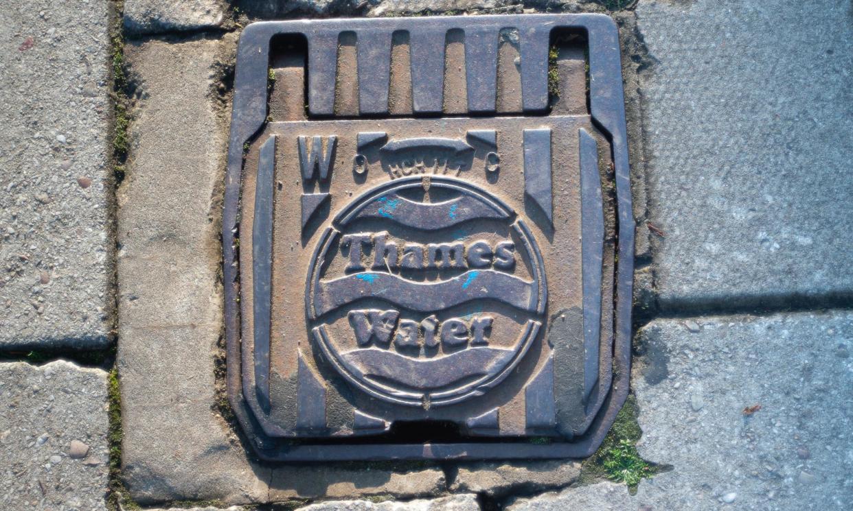 <span>Thames Water faces nationalisation unless it can attract vast quantities of fresh capital.</span><span>Photograph: Maureen McLean/Rex/Shutterstock</span>