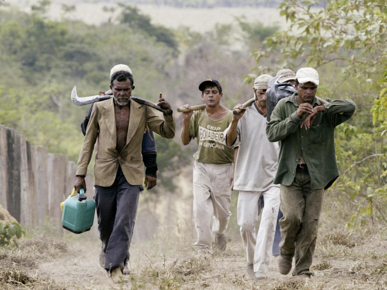 Brazilian slave labourers return from a day of work cutting down forest on the Bom Jesus farm in the Amazon Basin: REUTERS