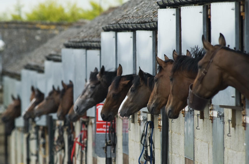 Runners wait in the stables before going to the parade ring at Salisbury racecourse on June 07, 2011 in Salisbury, England. (Photo by Alan Crowhurst/ Getty Images)